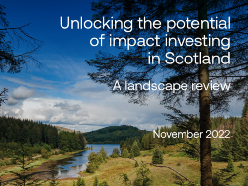 Impact investing paper