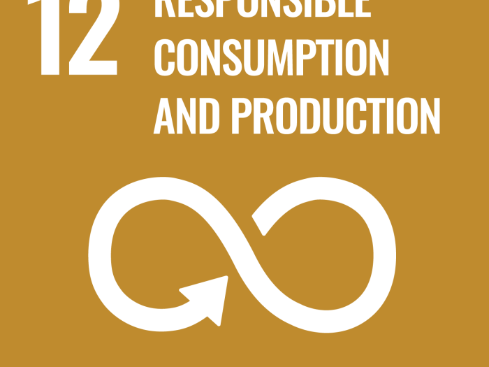 GOAL 12: Responsible Consumption and Production