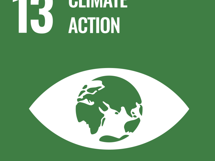GOAL 13: Climate Action