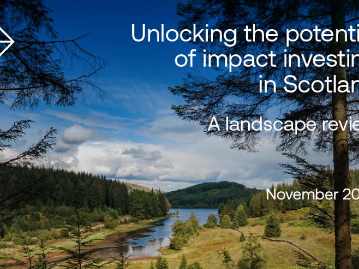 Impact Investing paper